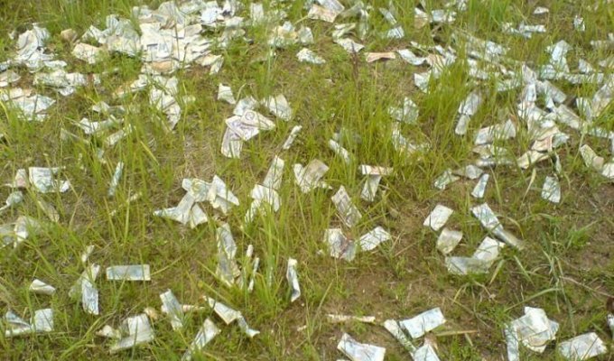 Под Костромой найдено кладбище советских денег (5 фото)