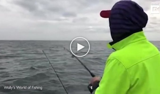 Коварный тюлень лишил рыбака улова