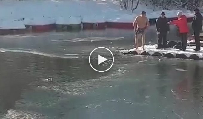 Спасение собаки из ледяного озера