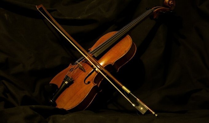 Скрипка (1 фото)