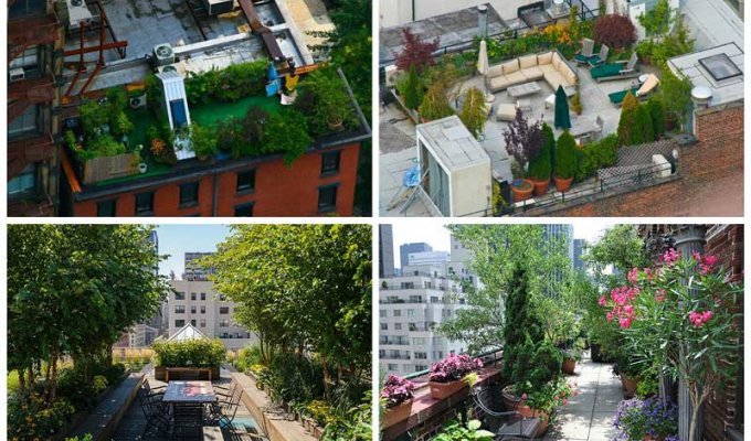 Сады на крышах (Часть 2) (20 фото)