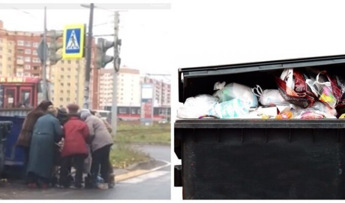 Пенсионеры из Ярославля устроили охоту на просрочку из мусорных баков (2 фото + 1 видео)