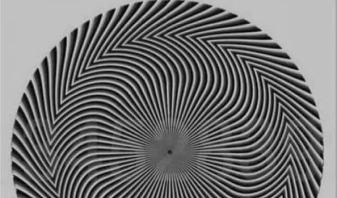 "Какое число вы видите?": пользователь Твиттера сломал голову подписчикам оптической иллюзией (6 фото)