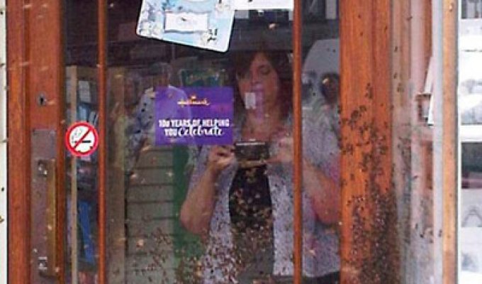 Нападение роя пчел на кондитерский магазин (2 фото)