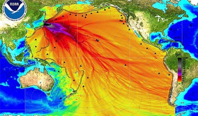 Фукусима отравила весь Тихий океан (4 фото)