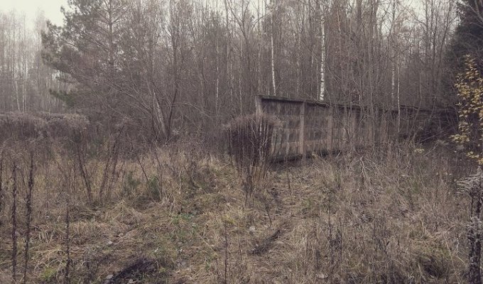 "Объект 1161". Что скрывает секретный бункер Горбачева в белорусских лесах (11 фото)