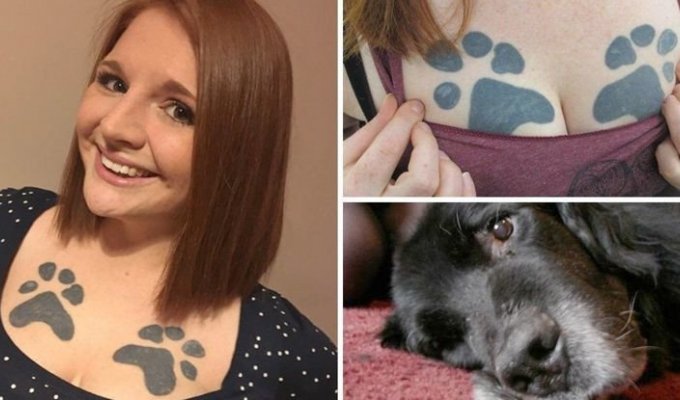 Британка сделала тату в память о псе прямо на своей груди (8 фото)