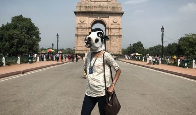 Женщины-коровы путешествуют по Индии (6 фото)