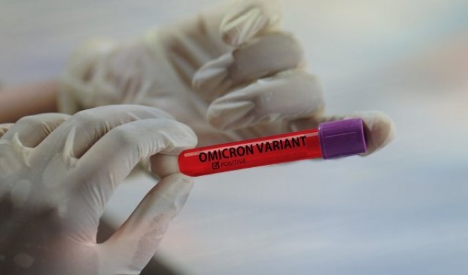 В России выявили новый штамм коронавируса - омикрон