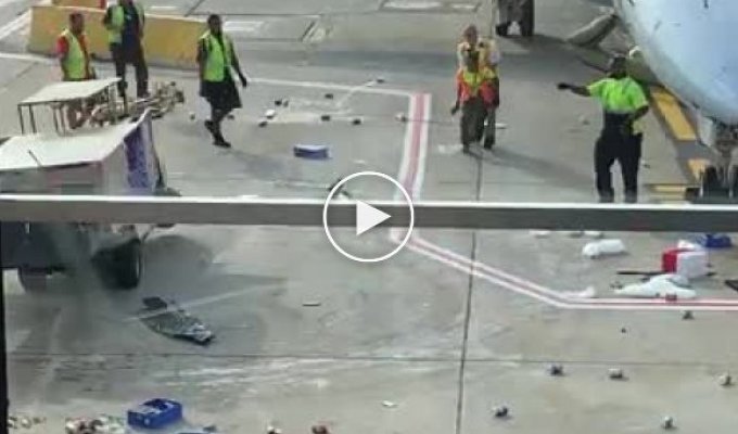 Взбесившаяся техника в аэропорту