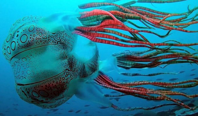 Редчайшее в мире существо, которое третий раз встретилось в океане (5 фото + 1 видео)