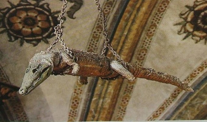 В каких христианских церквях можно увидеть крокодилов. Живых и мертвых! (6 фото)