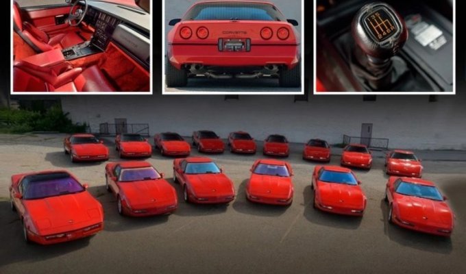 Уникальная коллекция из 15 красных «Корветтов» четвертого поколения выставлена ​​на продажу (19 фото)