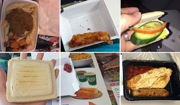 Эти блюда, поданные в самолете, отбивают аппетит надолго! (16 фото)