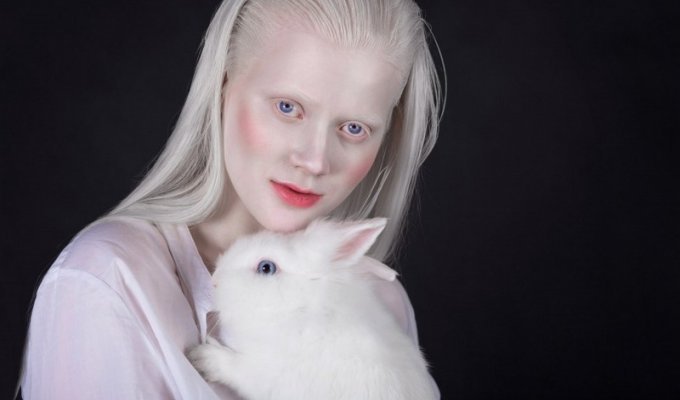 Интересные факты об альбиносах (11 фото)