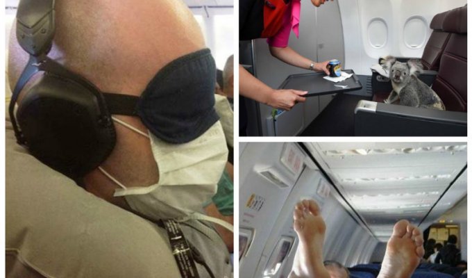 Когда в полет прям в самолет садится странненький народ (32 фото)