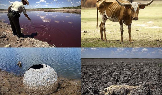 Страшная засуха в Техасе: фанатики ждут конца света‎ (11 фото)