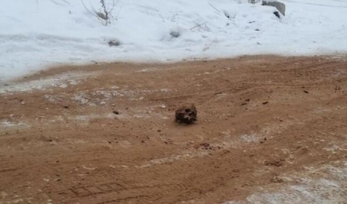 В российском городе дороги посыпали песком с кладбища (6 фото)