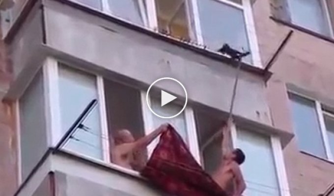 Забавное спасение зацепившегося за веревки на балконе кота