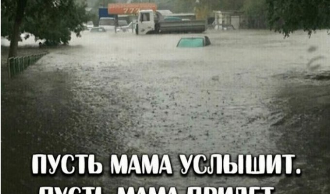 Одесситы в соцсетях смеются над потопом: Одесса решила, что она Венеция