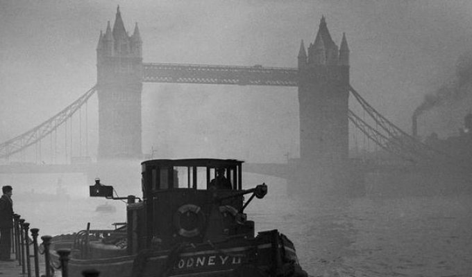 Туман, спустившийся на Лондон 5 декабря 1952, года убил 12 тысяч человек (8 фото)