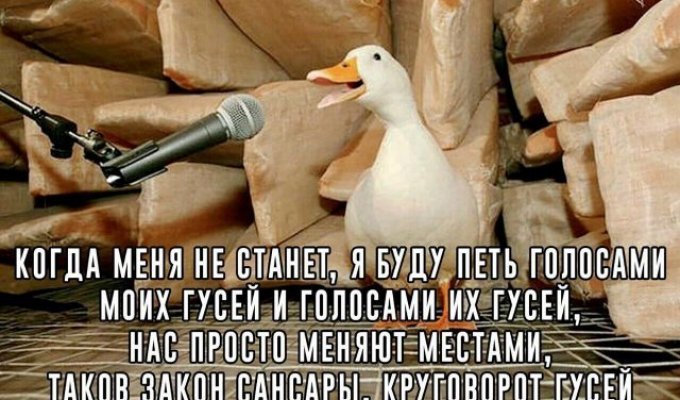 Лучшие шутки и мемы из Сети. Выпуск 410