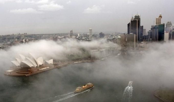 Туман (27 фотографий)