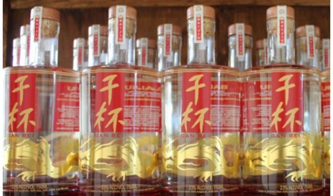 Как получить пожизненный запас алкоголя в Китае (8 фото + 1 видео)