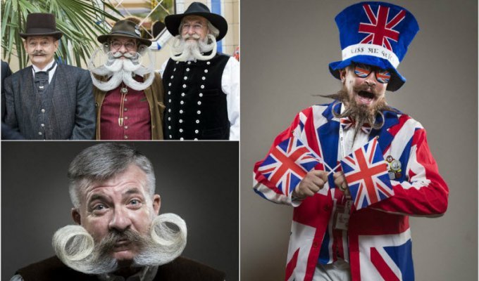 Конкурс бородачей и усачей в Великобритании (21 фото)
