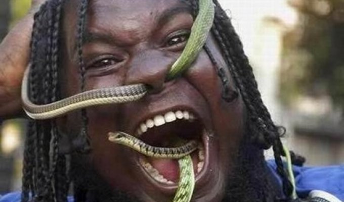 Он явно любит змей (10 фото)