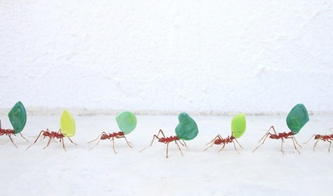 Красивые миниатюрные фигурки насекомых из стекла (7 фото)
