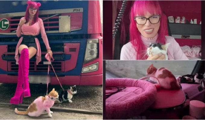 «Румынская Барби» работает дальнобойщицей — ездит на розовом грузовике с двумя кошками (2 фото + 2 видео)