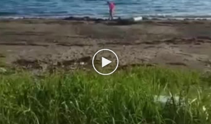 Драма и трагедия мужики потеряли бутылку водки на пляже в Приморье
