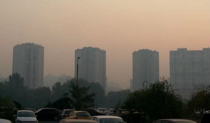 Киев по-прежнему окутан смогом: когда воздух станет чище и как спастись от вредной дымки