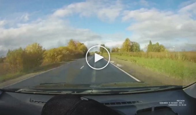 Невнимательный водитель устроил серьезное ДТП в Северодвинске