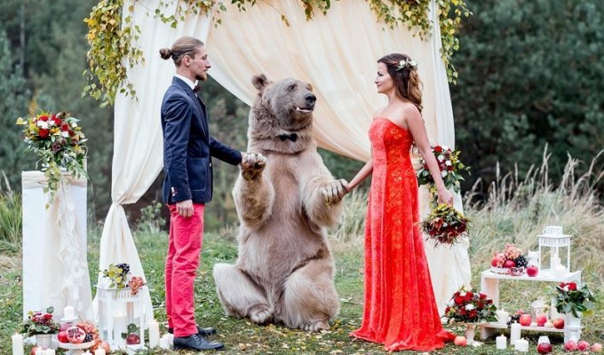 Свадьба по-русски: медведь благословляет жениха и невесту (12 фото)