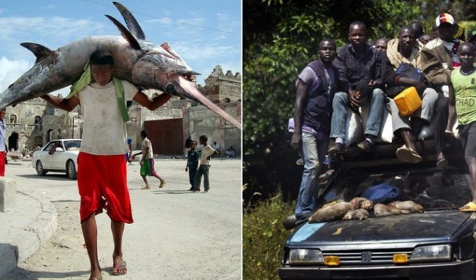 25 самых ярких и самобытных сюжетов из дикой и суровой Африки (27 фото)