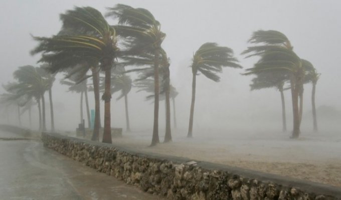 США под ударом: Ураган Ирма разрушит Флориду (3 фото + 1 видео)