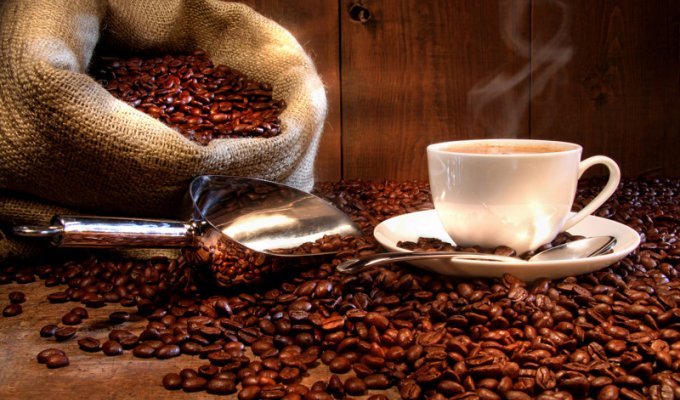 10 самых дорогих сортов кофе (11 фото)
