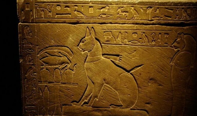 Культ кошки в Древнем Египте (3 фото)