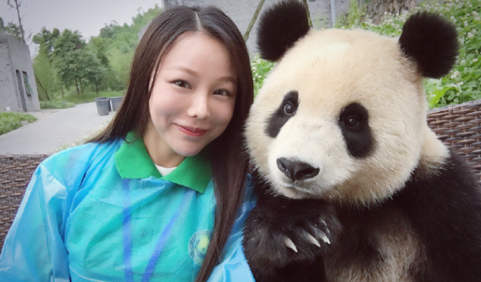 Эта гигантская панда просто обожает делать селфи! (7 фото)