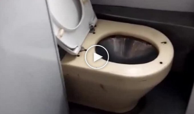 Портал в ад. Украинская железная дорога испугала пассажиров новыми туалетами