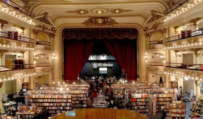  Самые интересные книжные магазины в мире (16 фото)