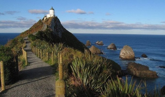 Маяк Наггет Поинт: райский уголок в Новой Зеландии (7 фото)
