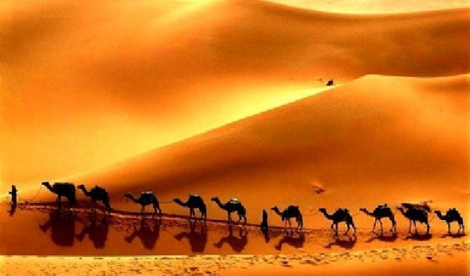 Великий шёлковый путь: почему в колодцах посреди пустыни всегда была вода (7 фото)