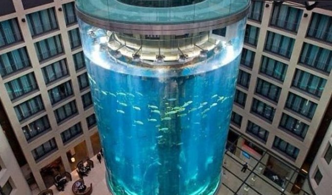 В Берлине лопнул 16-метровый аквариум с 1,5 тысячами рыб (6 фото + 3 видео)