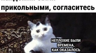 Лучшие шутки и мемы из Сети. Выпуск 612