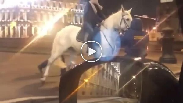 Девушки на лошадях в Санкт-Петербурге хотели штурмом взять здание ЗАКСа