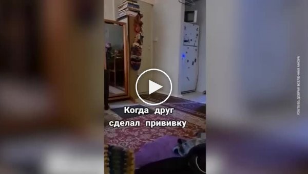 Мособлштаб опубликовал видео с котом, нецензурно призывающим вакцинироваться