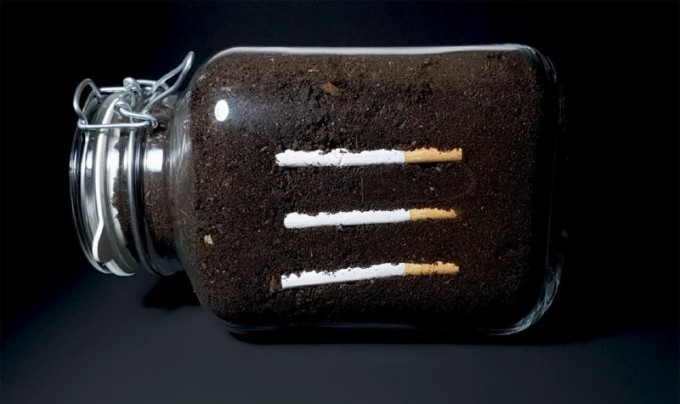 Фотограф из США показал, что происходит с сигаретами в почве (5 фото + 1 видео)